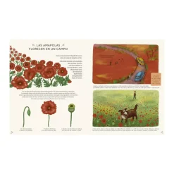 Cuentos y Libros Infantiles Amb Calma Shop