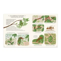 Cuentos y Libros Infantiles Amb Calma Shop