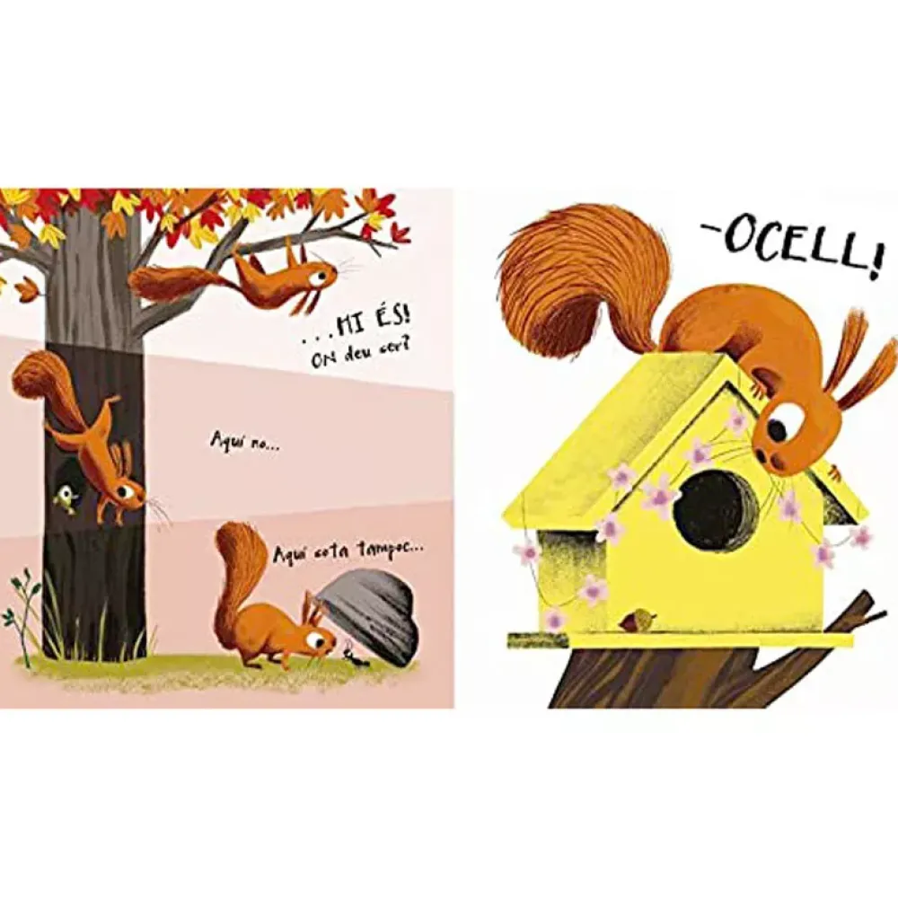 Cuentos y Libros Infantiles El Lladre De Fulles Outlet