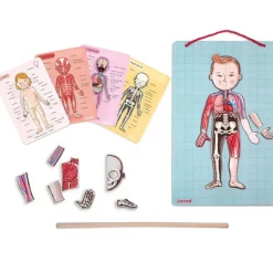 Janod Juego De Anatomia: Bodymagnet Best Sale