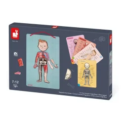Janod Juego De Anatomia: Bodymagnet Best Sale
