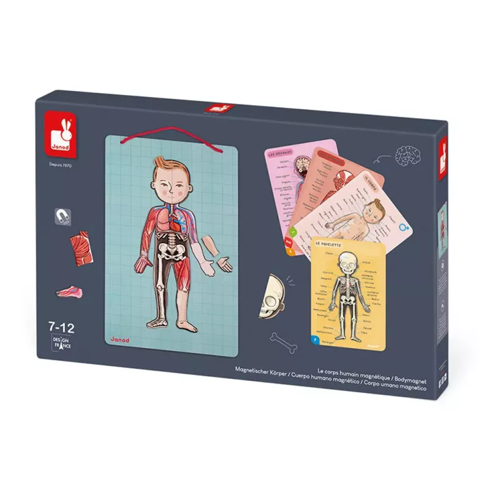 Janod Juego De Anatomia: Bodymagnet Best Sale