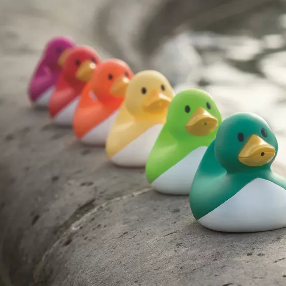 Janod Juego De Pescar Patitos Best Sale