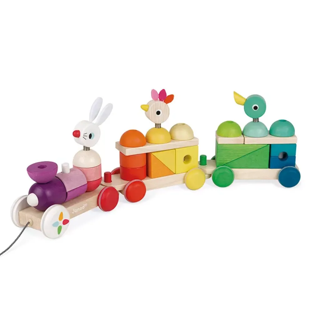 Janod Tren Gigante Multicolor Zigolos Cheap